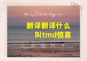 翻译翻译什么叫tmd惊喜