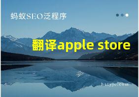 翻译apple store