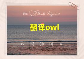 翻译owl