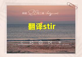 翻译stir