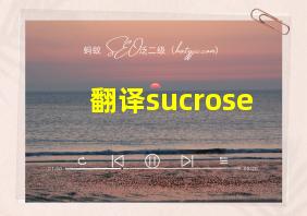 翻译sucrose