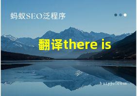 翻译there is