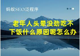 老年人头晕没劲吃不下饭什么原因呢怎么办