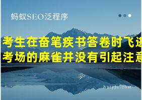 考生在奋笔疾书答卷时飞进考场的麻雀并没有引起注意