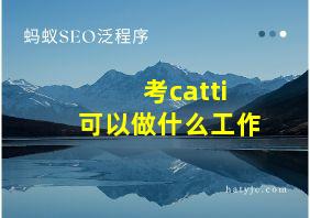 考catti可以做什么工作