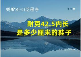 耐克42.5内长是多少厘米的鞋子