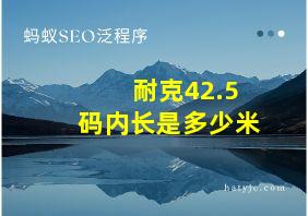 耐克42.5码内长是多少米