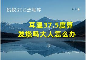 耳温37.5度算发烧吗大人怎么办