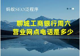 聊城工商银行周六营业网点电话是多少