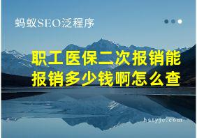 职工医保二次报销能报销多少钱啊怎么查