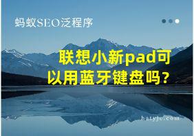 联想小新pad可以用蓝牙键盘吗?