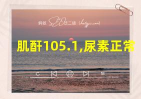 肌酐105.1,尿素正常