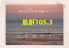 肌酐105.3