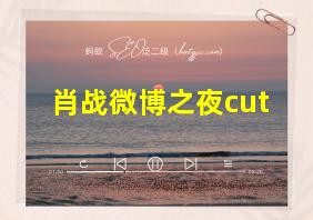 肖战微博之夜cut