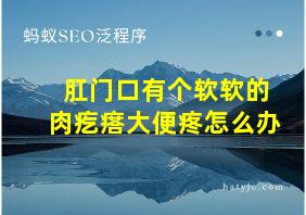 肛门口有个软软的肉疙瘩大便疼怎么办