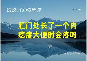 肛门处长了一个肉疙瘩大便时会疼吗