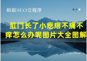 肛门长了小疙瘩不痛不痒怎么办呢图片大全图解