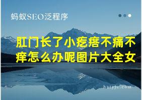 肛门长了小疙瘩不痛不痒怎么办呢图片大全女