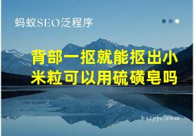 背部一抠就能抠出小米粒可以用硫磺皂吗