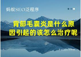 背部毛囊炎是什么原因引起的该怎么治疗呢