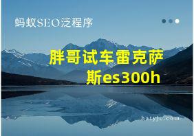 胖哥试车雷克萨斯es300h