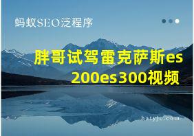 胖哥试驾雷克萨斯es200es300视频