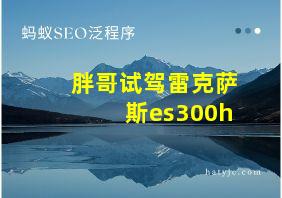 胖哥试驾雷克萨斯es300h