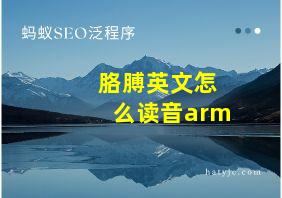 胳膊英文怎么读音arm