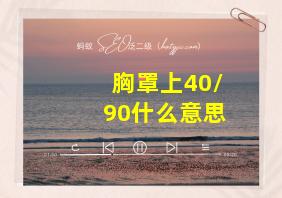 胸罩上40/90什么意思