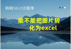 能不能把图片转化为excel