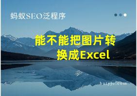 能不能把图片转换成Excel