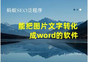 能把图片文字转化成word的软件