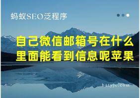 自己微信邮箱号在什么里面能看到信息呢苹果