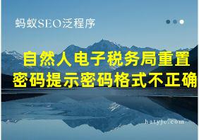 自然人电子税务局重置密码提示密码格式不正确