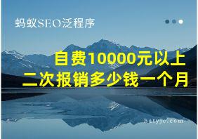 自费10000元以上二次报销多少钱一个月