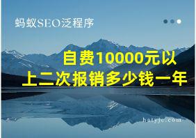 自费10000元以上二次报销多少钱一年