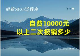 自费10000元以上二次报销多少