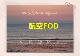 航空FOD