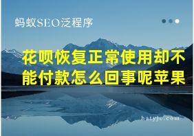 花呗恢复正常使用却不能付款怎么回事呢苹果