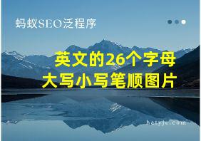 英文的26个字母大写小写笔顺图片