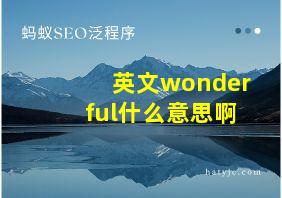 英文wonderful什么意思啊