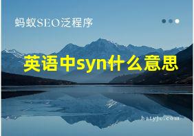 英语中syn什么意思