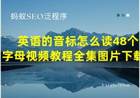 英语的音标怎么读48个字母视频教程全集图片下载