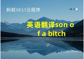 英语翻译son of a bitch