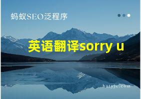 英语翻译sorry u