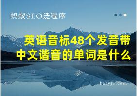 英语音标48个发音带中文谐音的单词是什么