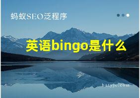 英语bingo是什么