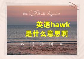 英语hawk是什么意思啊