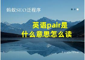 英语pair是什么意思怎么读