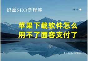 苹果下载软件怎么用不了面容支付了